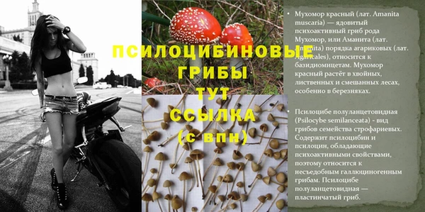COCAINE Арсеньев