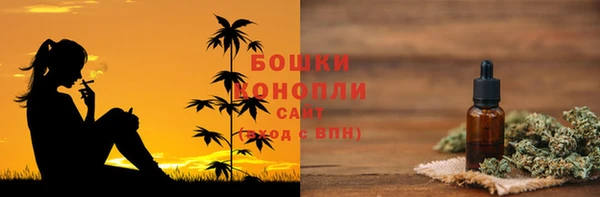 Альфа ПВП Аркадак