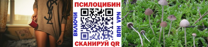 Галлюциногенные грибы GOLDEN TEACHER Инсар